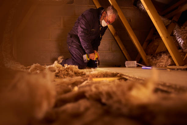 Best Residential Insulation in Pocola, OK